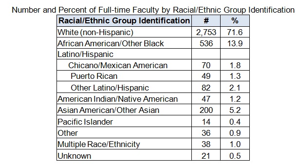 2008-Fac-Ethnicity.jpg